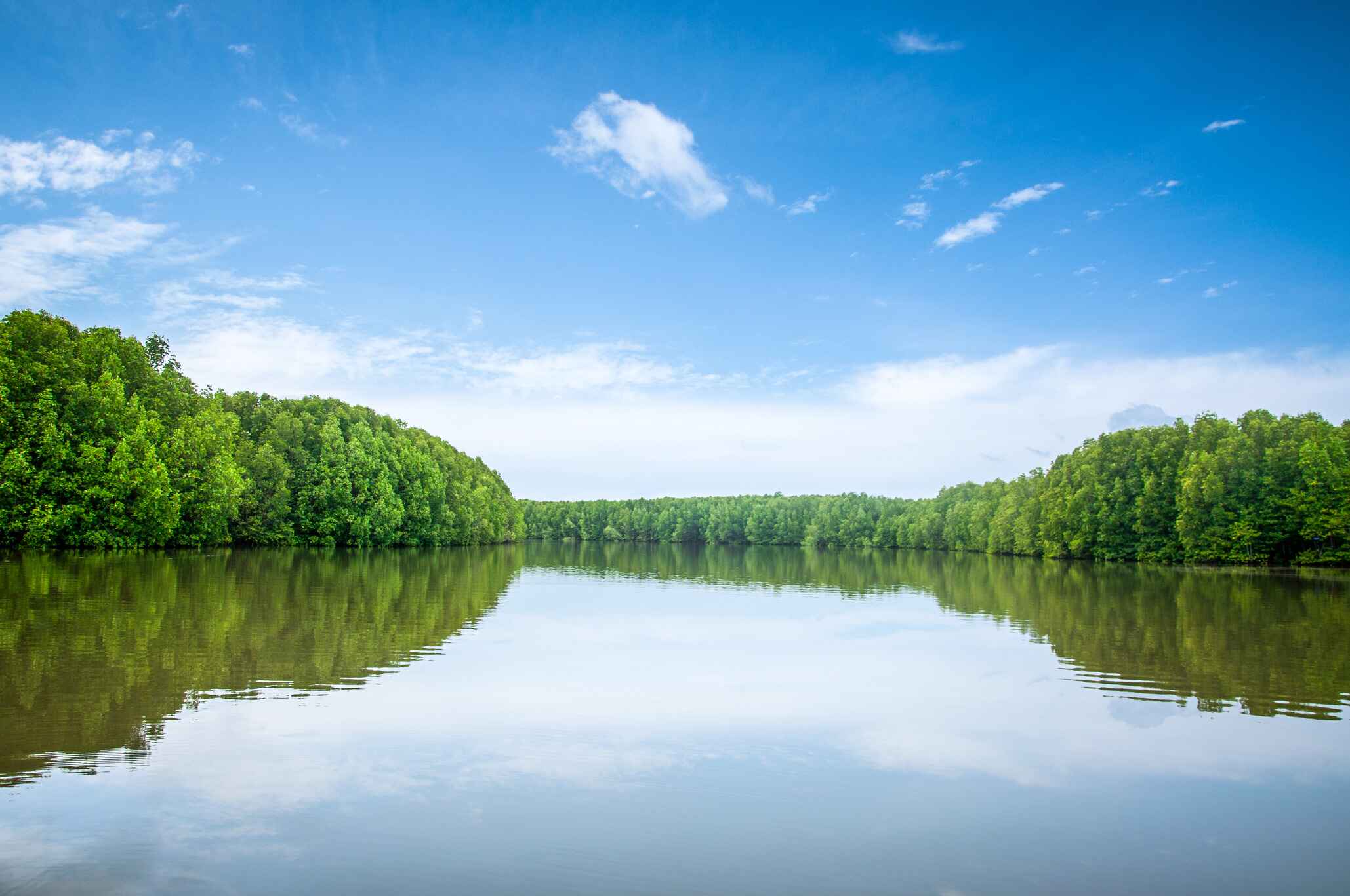 Training on mangroves  ecosystem services and  sustainable management